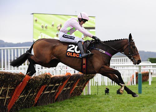 Vroom Vroom Mag and Ruby Walsh are clear at the last