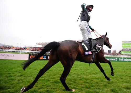 Altior