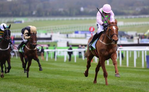 Annie Power clear of My Tent Or Yours at Cheltenham