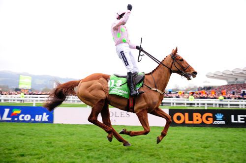 Annie Power
