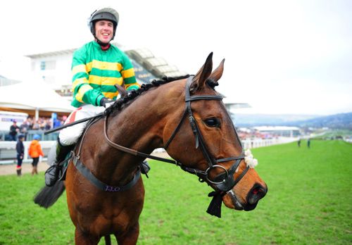 Derek O'Connor and Minella Rocco won in 2016