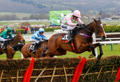 Vroum Vroum Mag winning at Cheltenham