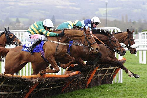 Diamond King (far side, white cap)