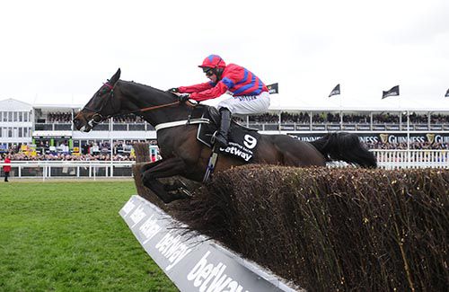 Sprinter Sacre and Nico de Boinville