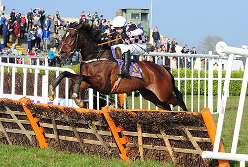Head Turner and Alan Crowe jump the last 