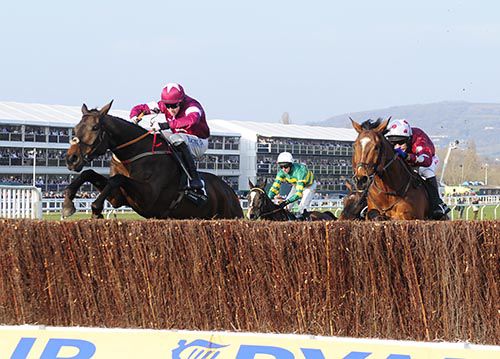 Empire Of Dirt wins under Bryan Cooper