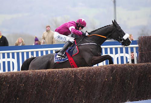 Don Cossack and Bryan Cooper 