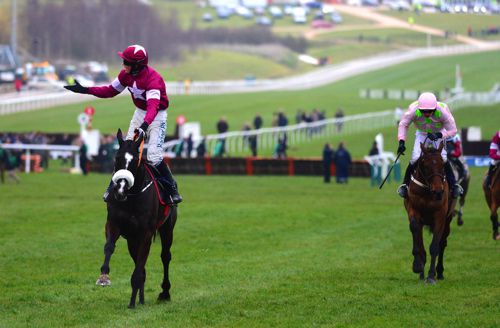 Don Cossack