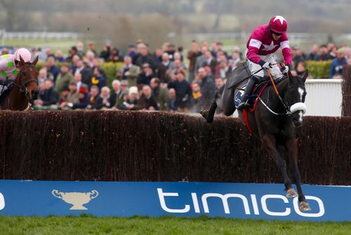 Don Cossack 
