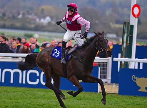 Harry Skelton celebrates Superb Story's win at Cheltenham