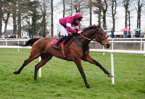 Grotesque and Jamie Codd