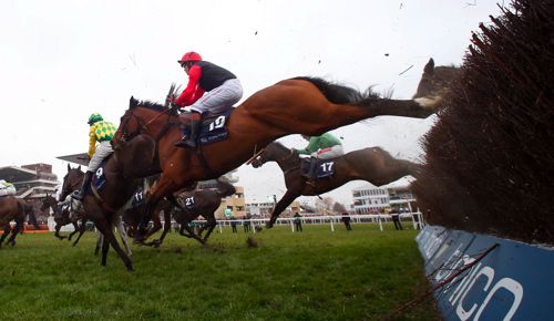 Pacha Du Polder pictured in action at Cheltenham
