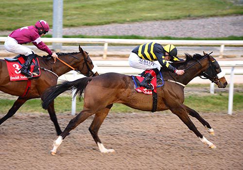 Sir Raston and Pat Smullen prevail from Tiger Roll