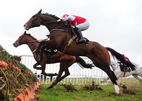 Follow The Swallow (near side) and Sean Flanagan