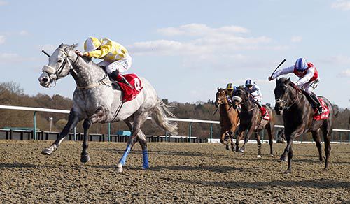 Captain Joy (Pat Smullen) winning on All-Weather Championships Finals Day at Lingfield in 2016