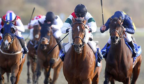 Grendisar (cheek-pieces) and Adam Kirby take the spoils