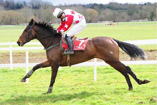 Goulane Davina and Dinny Spillane easily