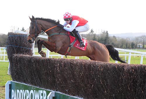 Front-running Another Rebel puts in a great leap at Cork