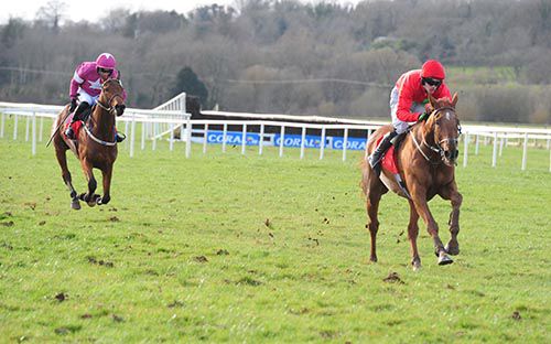 Give Me A Copper pictured on his way to victory at Cork in March of 2016