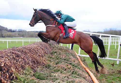 Salsify and Richie Harding pictured on their way to victory