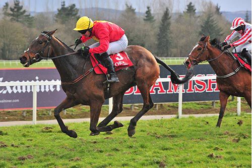 Dont Kick Nor Bite comes from last to first under Stephen O'Donovan