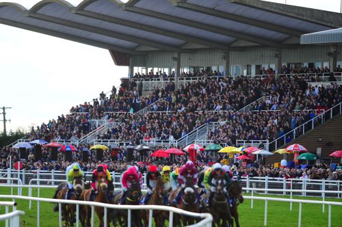 Fairyhouse yesterday