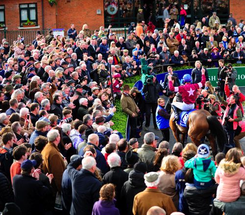 Irish Grand National winner Rogue Angel 