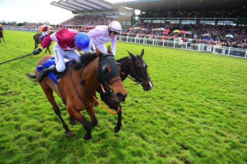 Rogue Angel (nearside)