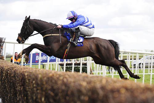 A lovely shot of Mr Diablo and Luke Dempsey in full flow