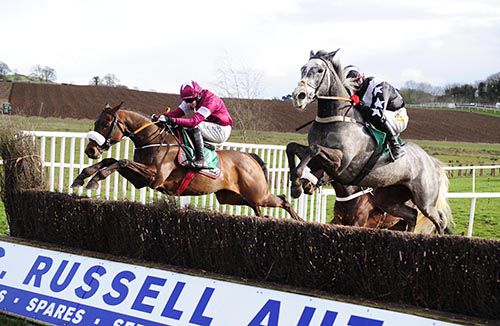 The Winkler and Donagh Meyler (right) clear the last fence 