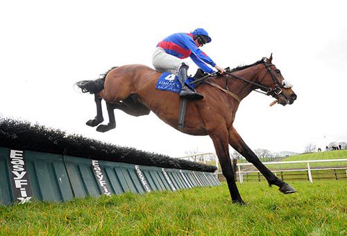 Velocity Boy and Barry Cash pictured on their way to victory