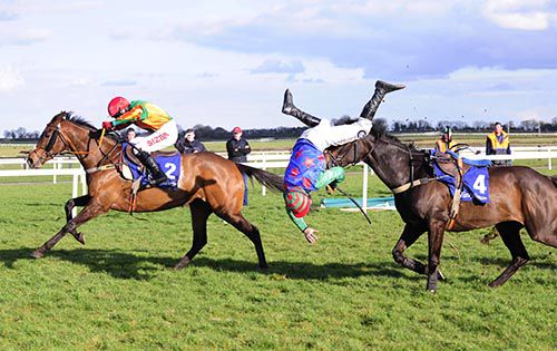 Kara Loca wins as Andrew Lynch departs from Missyspet