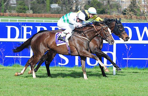 Altesse and Kevin Manning (near)