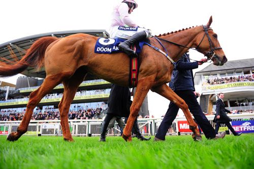 Annie Power