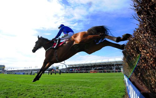 Cue Card