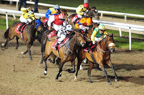 Catchy Lass, noseband, grabs the lead in Dundalk