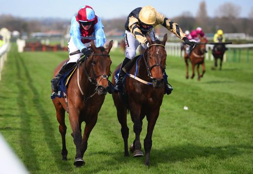 Ballyoptic (left)