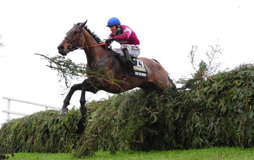 Rule The World at Aintree last year.