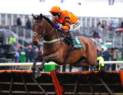 Thistlecrack winning at Aintree last year
