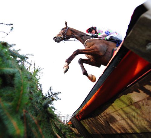 Vautour