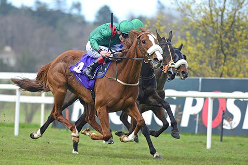 Alveena delivers her challenge in Leopardstown