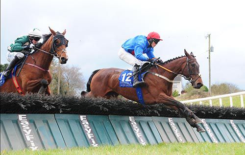 Plain Talking and Brien Kane lead Siberian Vixen over the last