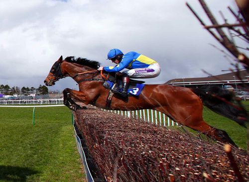 Le Mercurey pictured in action at Ayr