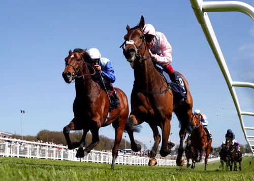 Viren's Army finishing third to So Mi Dar at Epsom