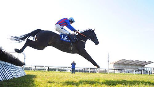 Tyrone Tiger and Andrew Lynch clear the last