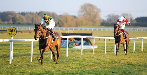 The Green Lady and Jane Mangan are clear from So Sorry Sarah