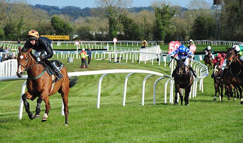 Job done - Sweet Cherry and Conor Maxwell