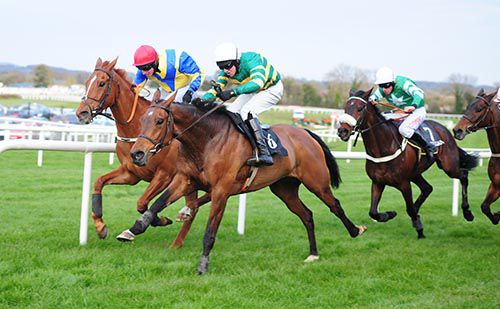Down Under (Mark Walsh, nearside) gets up to beat Fr Humphrey