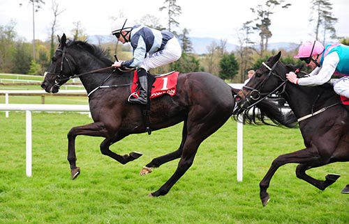 Bocca Baciata and Colm O'Donoghue lead Discipline in the closing stages