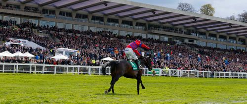 Sprinter Sacre